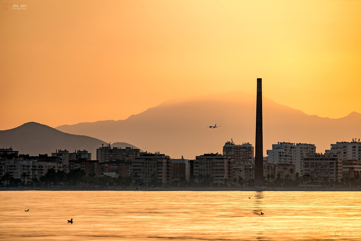 Tabacalera District - ALIVE in Málaga