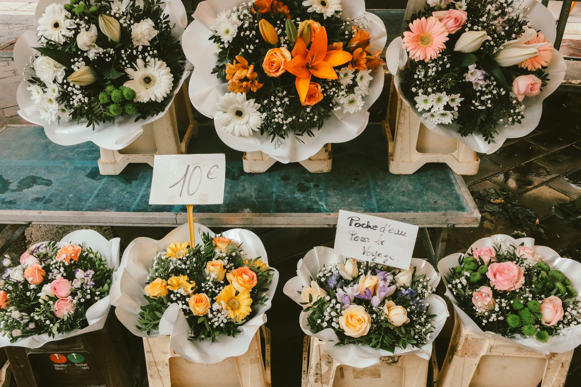 Le fleurs du Nice